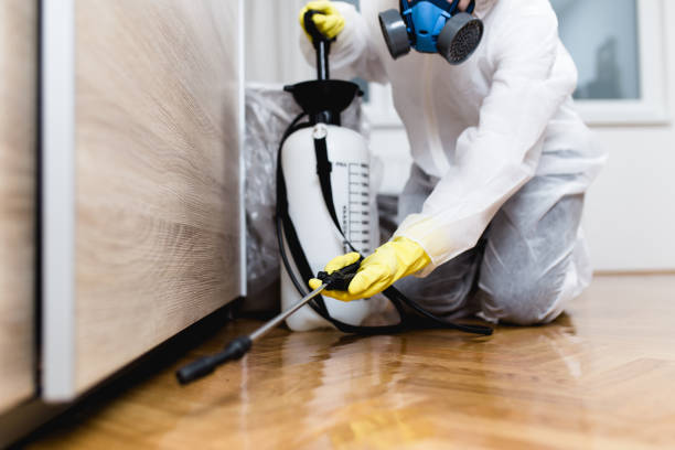 Best Rat Extermination Near Me  in Tokeneke, CT