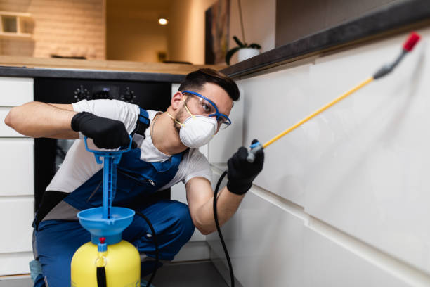Best Pest Inspection Near Me  in Tokeneke, CT