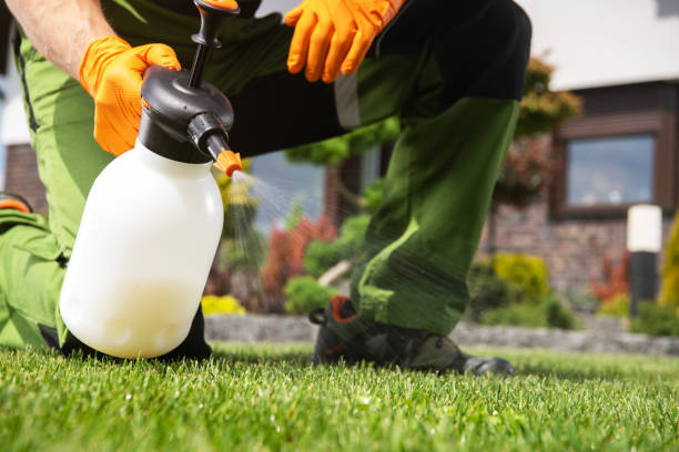 Insect Control in Tokeneke, CT