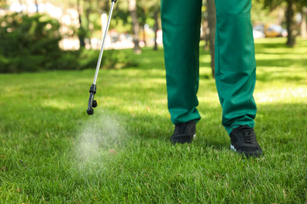 Best Best Pest Control Companies  in Tokeneke, CT