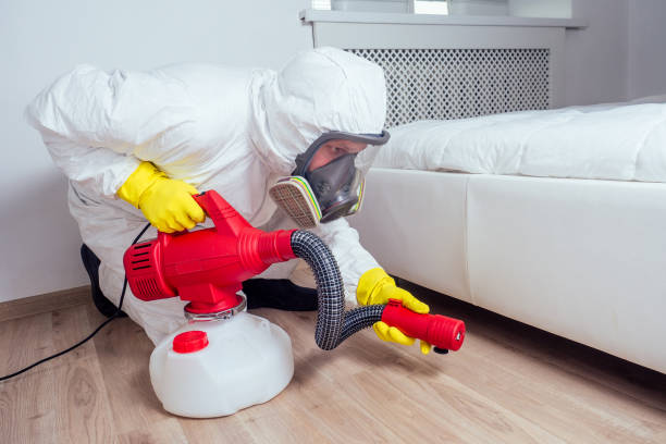 Pest Prevention Services in Tokeneke, CT