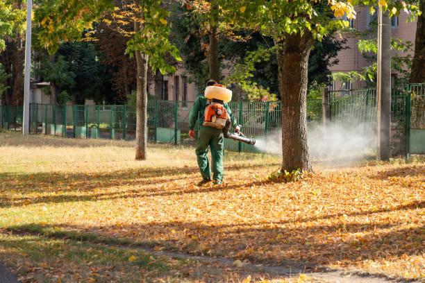 Best Ant Control Services  in Tokeneke, CT