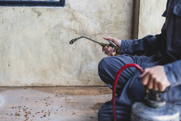 Best Local Pest Control Services  in Tokeneke, CT